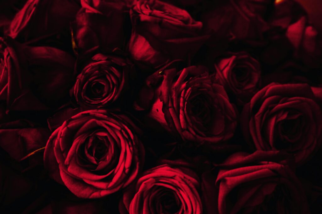 Valentines day roses in dark romance theme